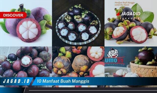 10 Manfaat Buah Manggis yang Jarang Diketahui