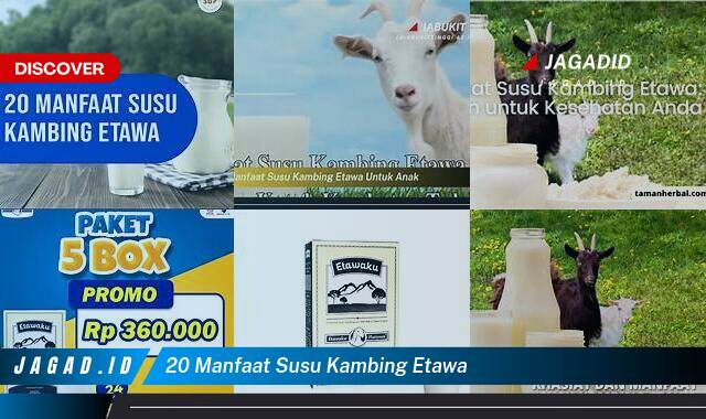 20 Manfaat Susu Kambing Etawa yang Wajib Kamu Ketahui