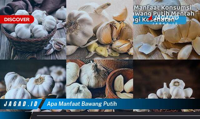 Ketahui 10 Manfaat Bawang Putih yang Bikin Kamu Penasaran