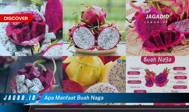 8 Manfaat Buah Naga yang Wajib Kamu Intip