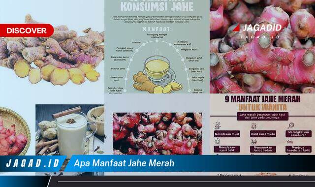 10 Manfaat Jahe Merah yang Wajib Kamu Intip