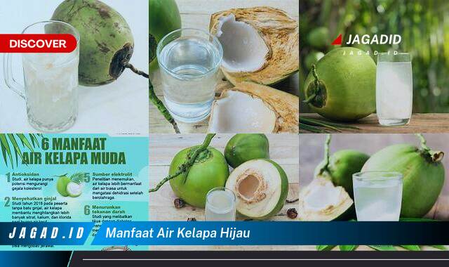 Inilah 8 Manfaat Air Kelapa Hijau yang Tidak Semua Orang Tau