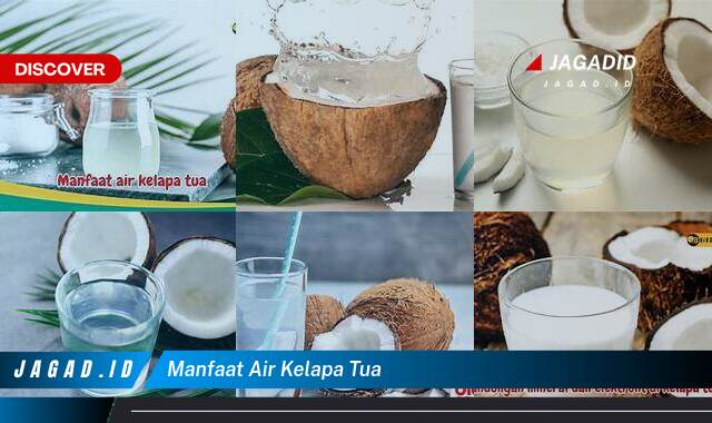 Inilah 9 Manfaat Air Kelapa Tua yang Bikin Kamu Penasaran