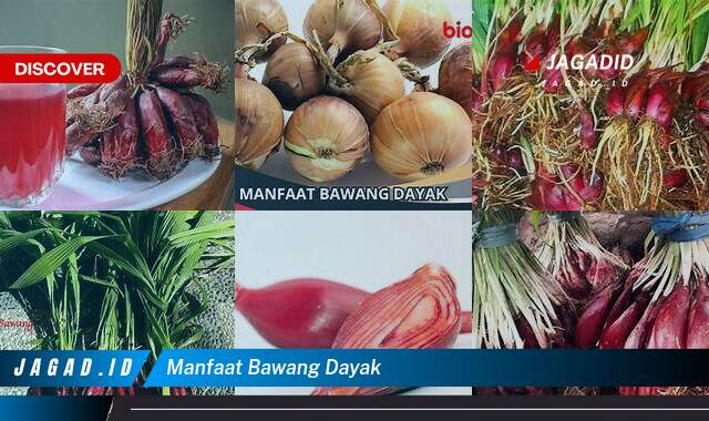 9 Manfaat Bawang Dayak yang Tidak Semua Orang Tau