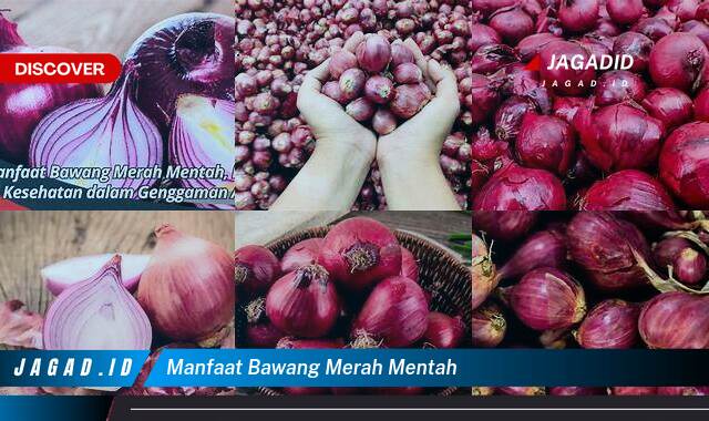 8 Manfaat Bawang Merah Mentah yang Wajib Kamu Intip