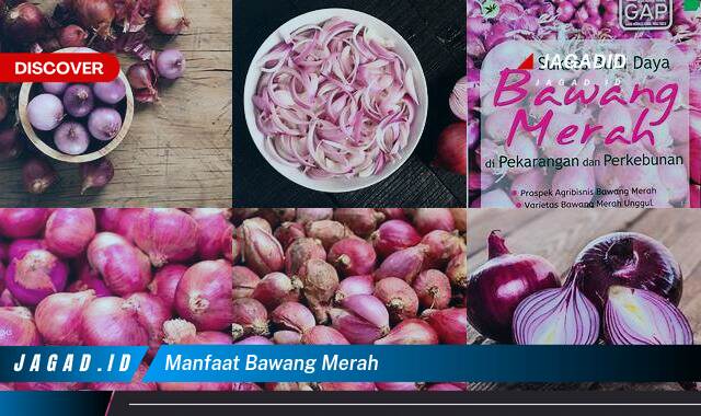 Ketahui 10 Manfaat Bawang Merah yang Wajib Kamu Intip