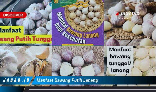 9 Manfaat Bawang Putih Lanang yang Tidak Semua Orang Tau