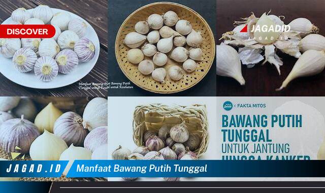 Ketahui 9 Manfaat Bawang Putih Tunggal yang Wajib Kamu Intip