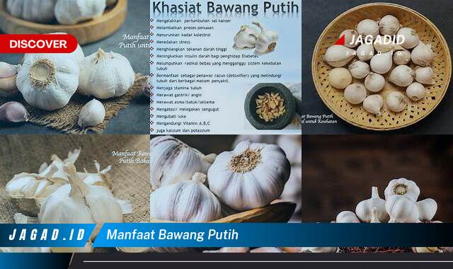 Inilah 9 Manfaat Bawang Putih yang Wajib Kamu Intip