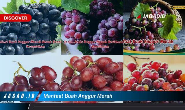 Inilah 10 Manfaat Buah Anggur Merah yang Wajib Kamu Ketahui