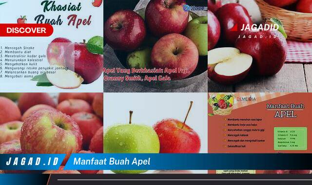 Inilah 10 Manfaat Buah Apel yang Wajib Kamu Ketahui