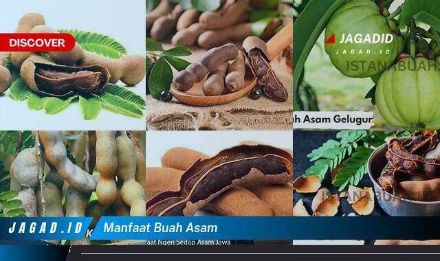 10 Manfaat Buah Asam yang Bikin Kamu Penasaran