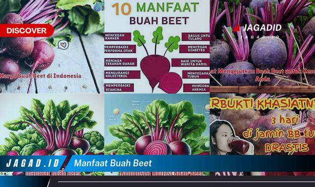 Inilah 9 Manfaat Buah Beet yang Tidak Semua Orang Tau