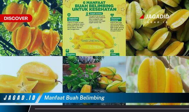 Ketahui 8 Manfaat Buah Belimbing yang Wajib Kamu Intip