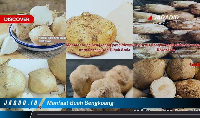 9 Manfaat Buah Bengkoang yang Wajib Kamu Intip