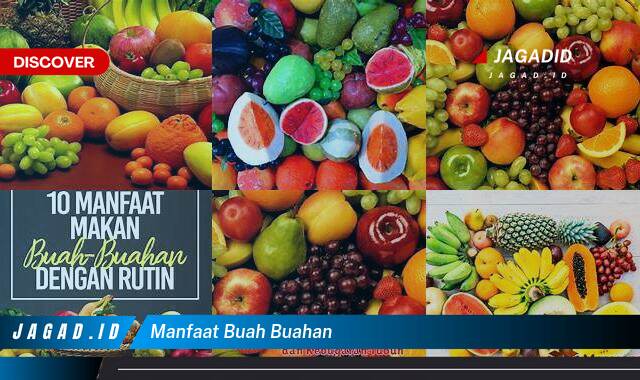 Ketahui 9 Manfaat Buah,buahan yang Wajib Kamu Intip