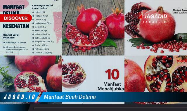 10 Manfaat Buah Delima yang Wajib Kamu Ketahui