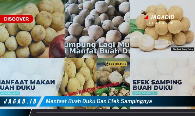 Inilah 8 Manfaat Buah Duku & Efek Sampingnya yang Wajib Kamu Ketahui