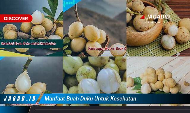 Ketahui 9 Manfaat Buah Duku untuk Kesehatan yang Tak Terduga