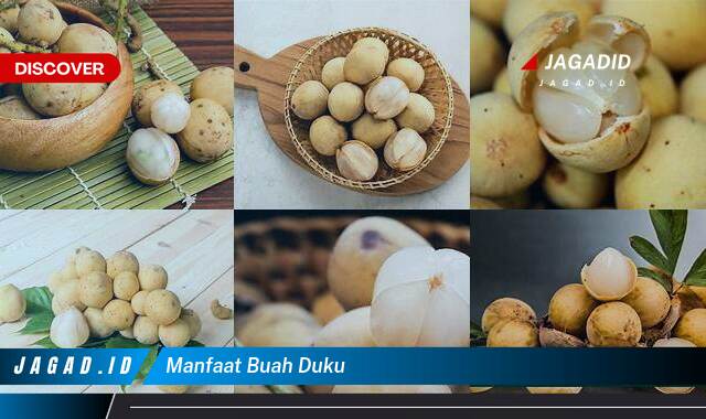 Inilah 9 Manfaat Buah Duku yang Bikin Kamu Penasaran