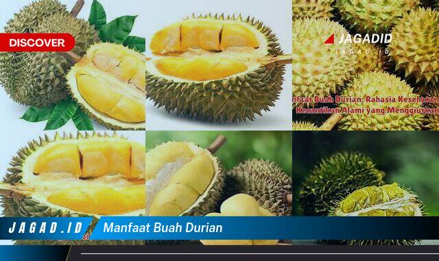 Inilah 10 Manfaat Buah Durian yang Wajib Kamu Intip