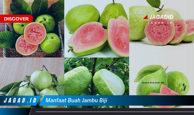 8 Manfaat Buah Jambu Biji yang Wajib Kamu Ketahui