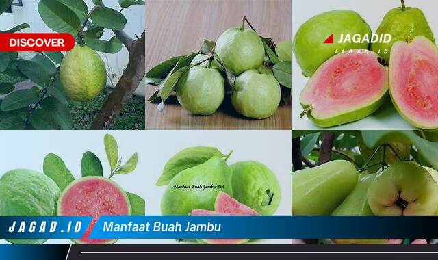 Inilah 8 Manfaat Buah Jambu yang Bikin Kamu Penasaran