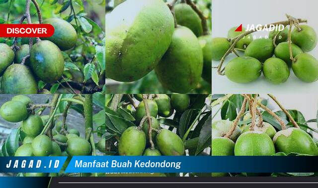 9 Manfaat Buah Kedondong yang Wajib Kamu Ketahui