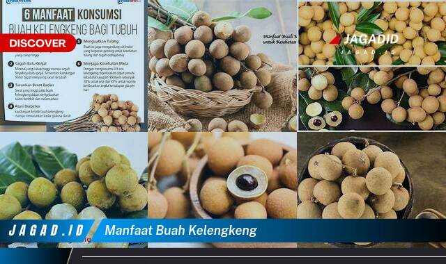 Inilah 9 Manfaat Buah Kelengkeng yang Bikin Kamu Penasaran