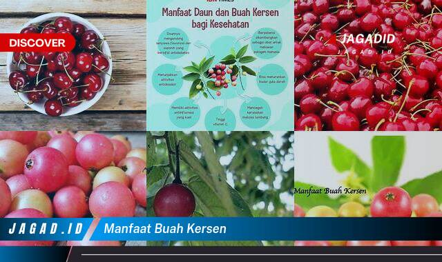 Inilah 10 Manfaat Buah Kersen yang Wajib Kamu Intip