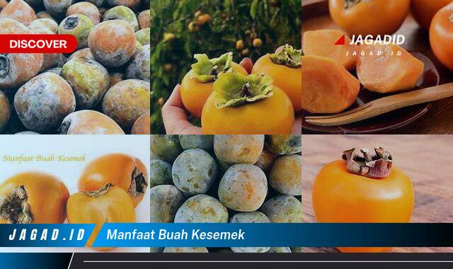 Ketahui 8 Manfaat Buah Kesemek yang Wajib Kamu Ketahui