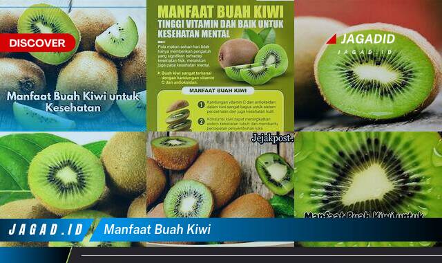 Inilah 10 Manfaat Buah Kiwi yang Bikin Kamu Penasaran