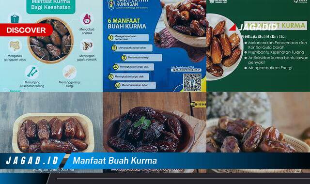 9 Manfaat Buah Kurma yang Wajib Kamu Ketahui