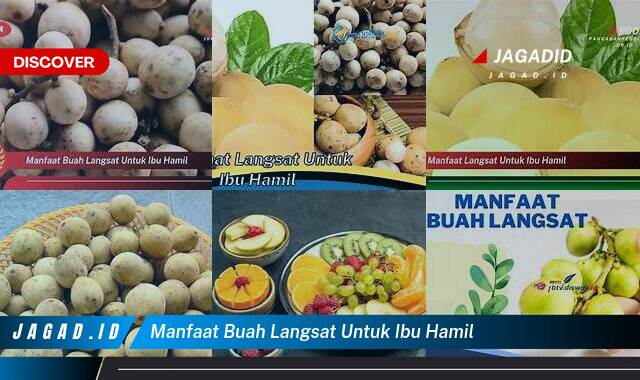 Ketahui 9 Manfaat Buah Langsat untuk Ibu Hamil yang Wajib Kamu Intip