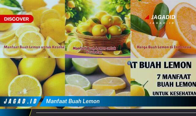 Ketahui 8 Manfaat Buah Lemon yang Tak Banyak Orang Tahu