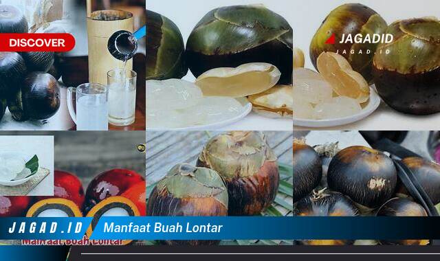 Ketahui 10 Manfaat Buah Lontar yang Wajib Kamu Ketahui