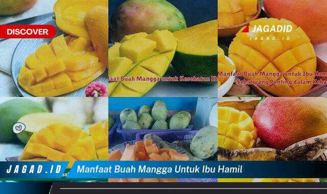 10 Manfaat Buah Mangga untuk Ibu Hamil yang Tak Banyak Orang Tau