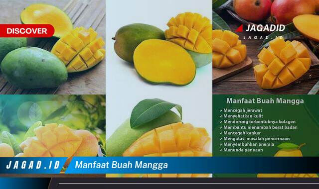 8 Manfaat Buah Mangga yang Wajib Kamu Intip