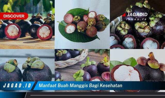 Ketahui 9 Manfaat Buah Manggis bagi Kesehatan yang Tak Banyak Orang Tau