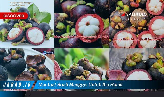 Inilah 8 Manfaat Buah Manggis untuk Ibu Hamil yang Wajib Kamu Intip