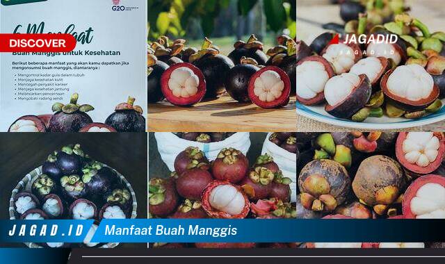 Ketahui 10 Manfaat Buah Manggis yang Tak Banyak Orang Tau