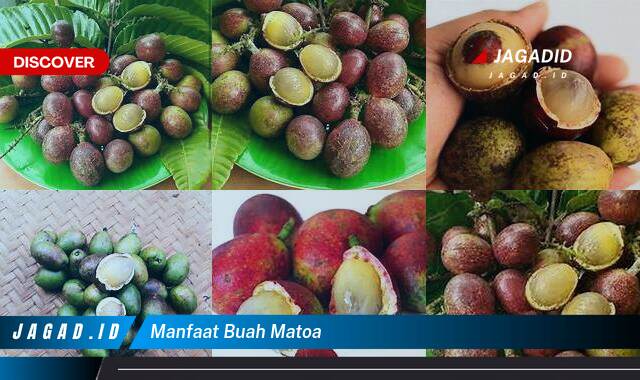 8 Manfaat Buah Matoa yang Bikin Kamu Penasaran