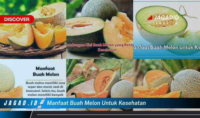 Inilah 8 Manfaat Buah Melon untuk Kesehatan yang Bikin Kamu Penasaran