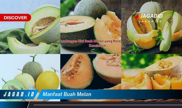 Ketahui 10 Manfaat Buah Melon yang Wajib Kamu Intip