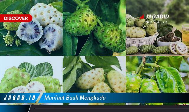 Ketahui 9 Manfaat Buah Mengkudu yang Wajib Kamu Ketahui