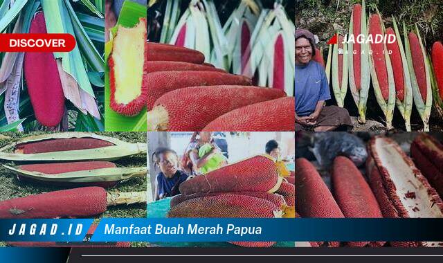 9 Manfaat Buah Merah Papua yang Wajib Kamu Ketahui