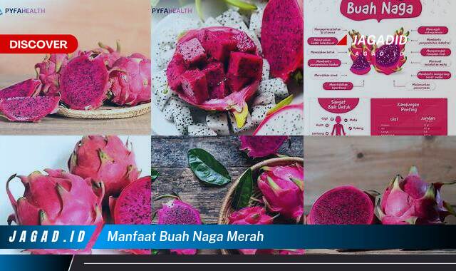 9 Manfaat Buah Naga Merah yang Bikin Kamu Penasaran