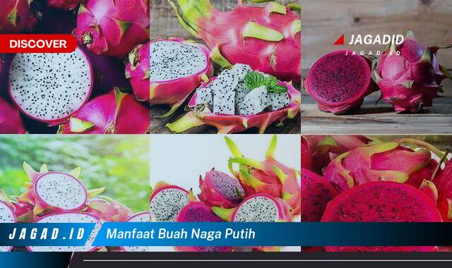 Ketahui 8 Manfaat Buah Naga Putih yang Wajib Kamu Ketahui