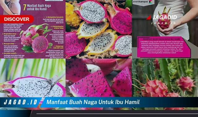 9 Manfaat Buah Naga untuk Ibu Hamil yang Wajib Kamu Ketahui