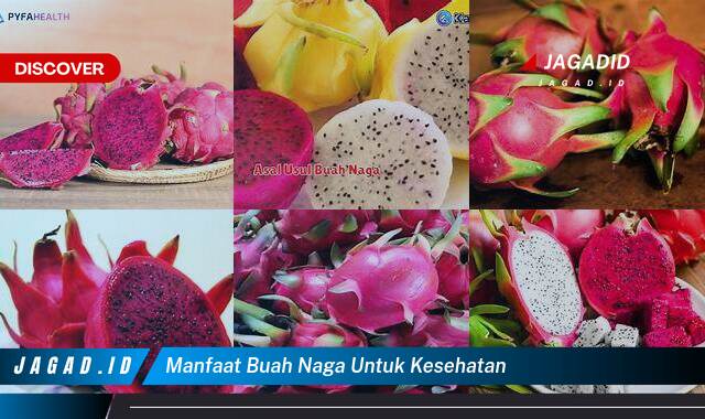 Inilah 8 Manfaat Buah Naga untuk Kesehatan yang Tidak Semua Orang Tau